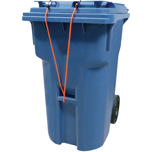 Bungee Cord Tie Downs, 12" WestPier