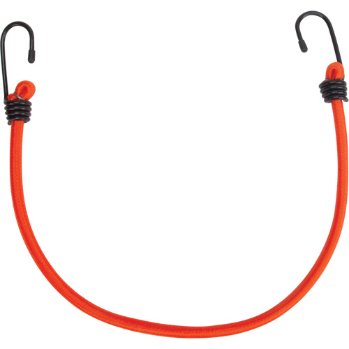 Sangles d'arrimage &eacute;lastiques, 18" WestPier