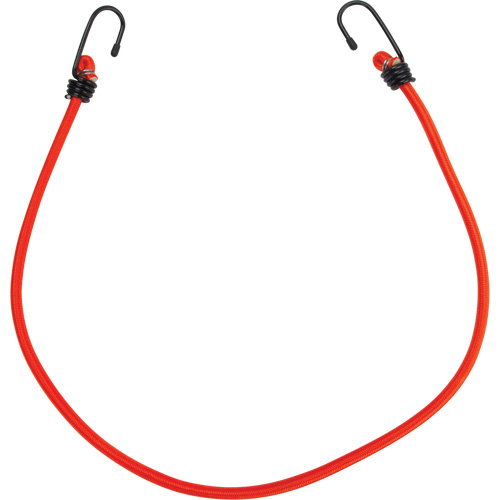 Sangles d'arrimage &eacute;lastiques, 30" WestPier