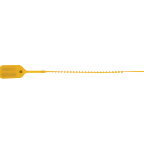 Scell&eacute; de s&eacute;curit&eacute; standard, 9", Plastique, Pousser et tirer WestPier