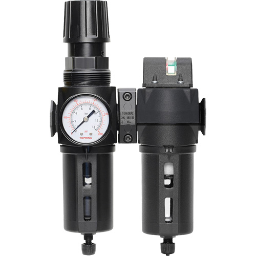 Filtre/d&eacute;tendeur & filtre coalescent Modulair 300 avec bol standard & drain manuel, 3/8" NPTF, 150 psi, Capacit&eacute; de 5,12 oz liq WestPier
