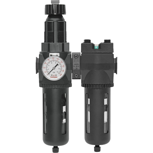 Filtre/d&eacute;tendeur & filtre coalescent Modulair 400 avec bol standard & drain manuel, 3/4" NPTF, 150 psi, Capacit&eacute; de 9,13 oz liq. WestPier