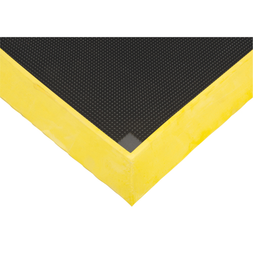 Foot Sanitizing Matting, Rubber, 2-2/3' W x 3-1/4' L x 2-1/2" Thick, Yellow WestPier