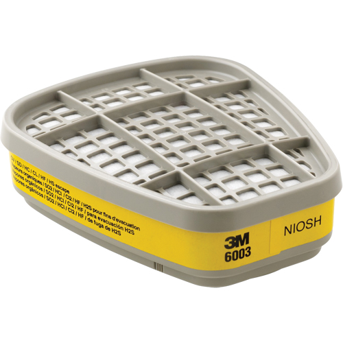 Cartouches pour respirateur s&eacute;rie 6000, Cartouche gaz/vapeur, Vapeurs organiques/Gaz acides WestPier