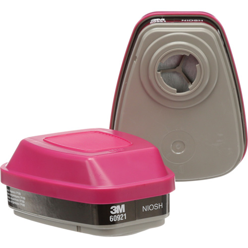 Cartouches pour respirateur s&eacute;rie 6000, Cartouche gaz/vapeur, Vapeurs organiques/P100 WestPier