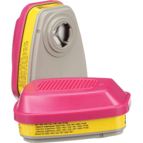 6000 Series Respirator Cartridges, Gas/Vapour Cartridge, Organic Vapour/Acid Gas/P100 WestPier