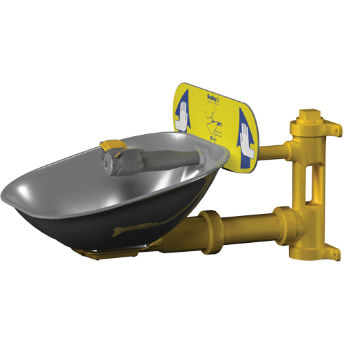 Poste de douche oculaire Halo, Installation Montage mural, Bol Acier inoxydable WestPier