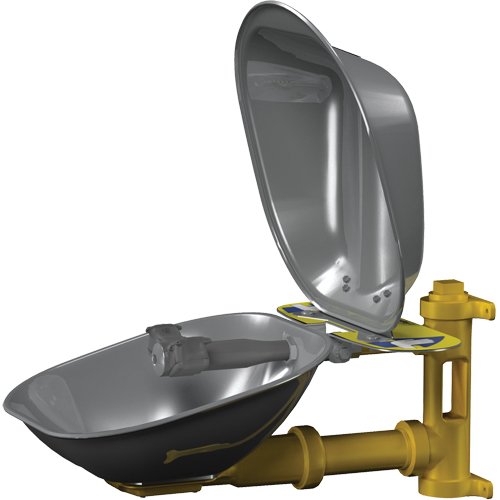 Poste de douche oculaire Halo, Installation Montage mural, Bol Acier inoxydable WestPier