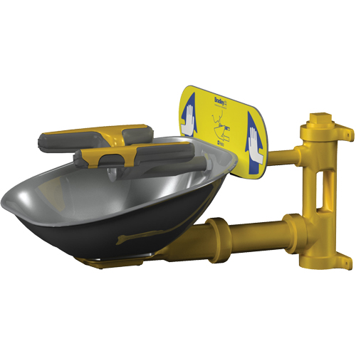 Halo Face/Eyewash Stations, Wall-Mount Installation, Stainless Steel Bowl WestPier