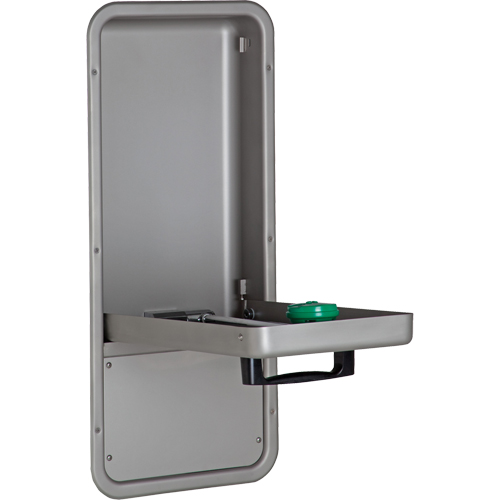 Eye/Face Wash Station, Wall-Mount Installation, Stainless Steel Bowl WestPier