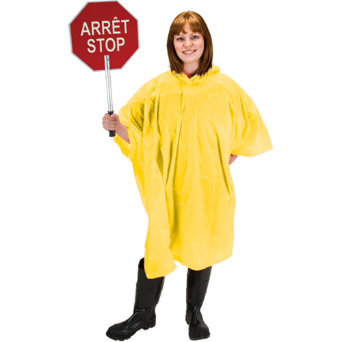 Poncho RZ WestPier