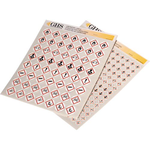 GHS Hazard Pictogram Label Variety Packs, Vinyl, Sheet, 1" L x 1" W WestPier