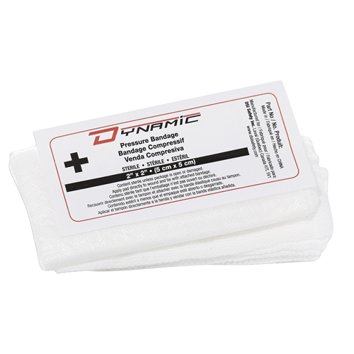 Dynamic Compress Bandages, 2" L x 2" W WestPier
