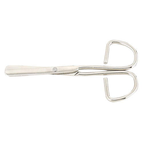 Dynamic Economy Scissors WestPier