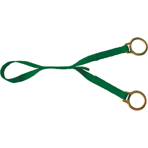 Double D Ring Extension, D-Ring, Temporary Use WestPier