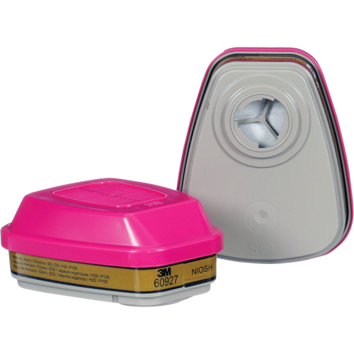 Cartouche, Combinaison cartouche et filtre contre les particules pour gaz/vapeurs, Gaz multiples/Vapeurs/P100 WestPier