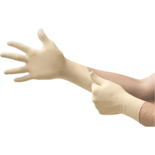 MICROFLEX&reg; Ultra One&reg; Examination Gloves, 10/9.5/X-Large, Latex, 9.8-mil, Powder-Free, Natural, Class 2 WestPier