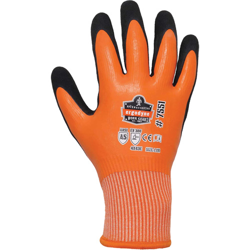 Gants de travail enduits et r&eacute;sistant &agrave; la coupe pour l'hiver ProFlex 7551, Taille Petit, Calibre 10/13, Rev&ecirc;tement Nitrile/Latex de caoutchouc, Enveloppe en PEHP, ASTM ANSI niveau A5/EN 388 niveau E WestPier