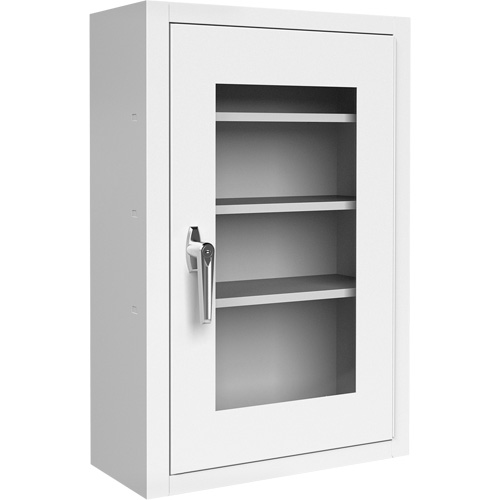 Lockable Medicine Cabinet with Plexiglas Door WestPier