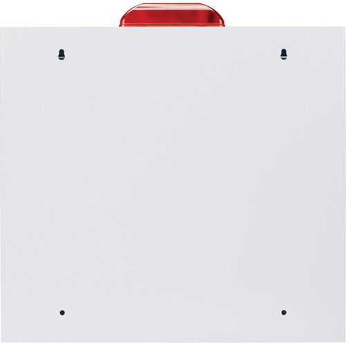 Grande armoire standard pour DEA avec alarme & stroboscope, Zoll AED Plus/Zoll AED 3/Cardio-Science/Physio-Control Pour, Non m&eacute;dical WestPier