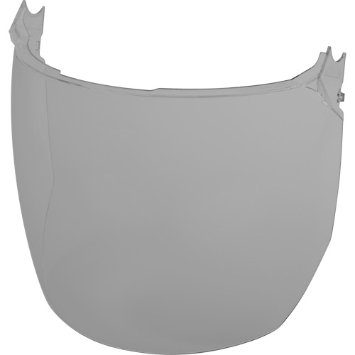 Face Shield Replacement Lenses, Polycarbonate, Grey/Smoke Tint WestPier