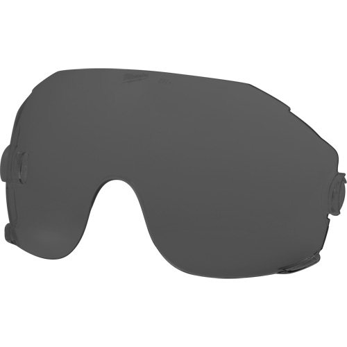 Eye Visor Replacement Lenses, Grey/Smoke Tint WestPier