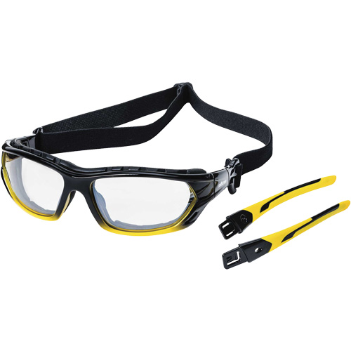 XPS530 Sealed Safety Glasses, Indoor/Outdoor Lens, Anti-Scratch, ANSI Z87+/Meets/Exceeds CSA Z94.3 WestPier