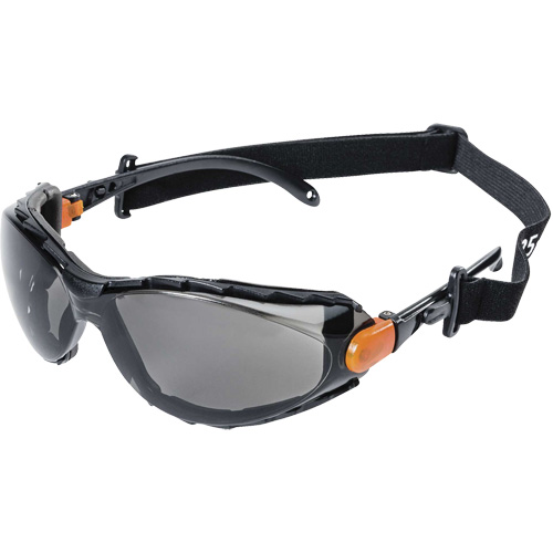 XPS502 Sealed Safety Glasses, Smoke Lens, Anti-Fog/Anti-Scratch WestPier