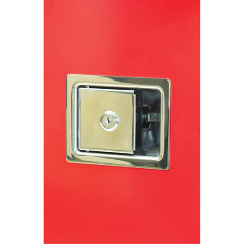 Armoires ext&eacute;rieures robustes pour extincteurs, 14" la x 28" h x 10" p WestPier