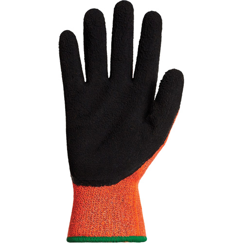 Gants d'hiver r&eacute;sistants &agrave; la coupe Dexterity TKTAGLX, Taille T-Grand, Calibre 13, Rev&ecirc;tement Latex, Enveloppe en TenActiv, ASTM ANSI niveau A3 WestPier