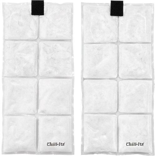 Chill-Its 6260 Lightweight Phase Change Cooling Vest with Rechargeable Packs, Large/X-Large, Orange WestPier