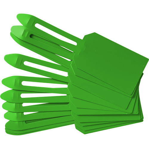 Blank Plastic Lock-On Tags, Plastic, 3-1/4" W x 5-4/5" H, Blank WestPier