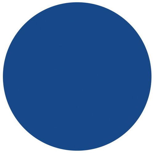 Round Write-On Labels, Circle, 1.5" L x 1.5" W, Blue WestPier