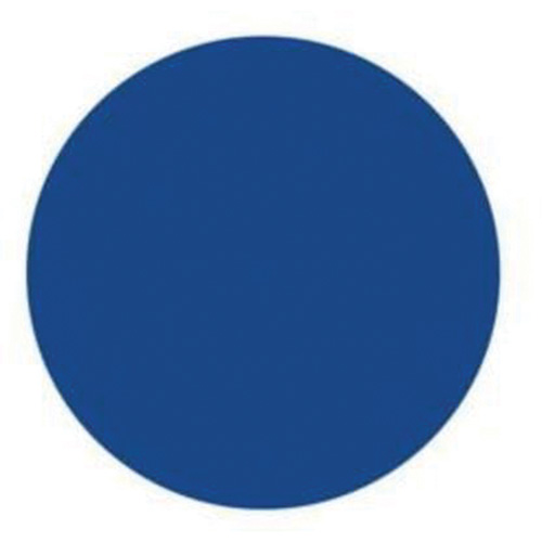 Round Write-On Labels, Circle, 3" L x 3" W, Blue WestPier