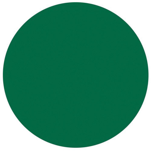 Round Write-On Labels, Circle, 3" L x 3" W, Green WestPier