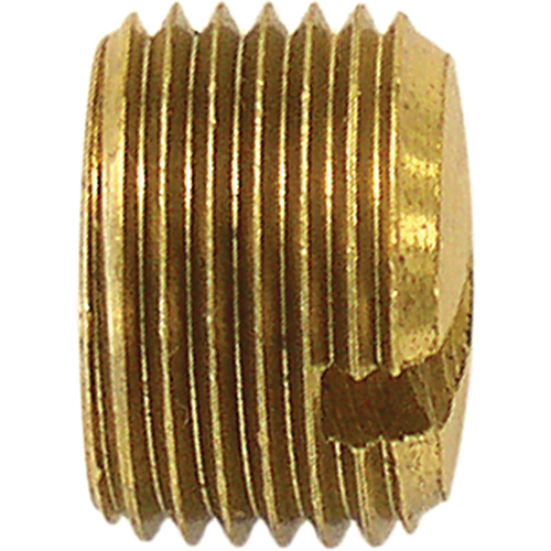 Pipe Plug (Slotted), 1/4" Dia., Brass WestPier