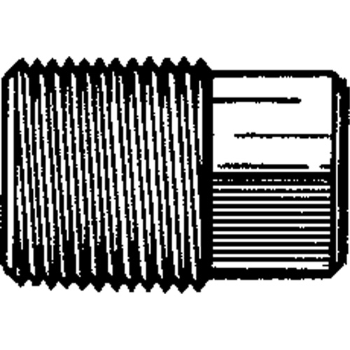 Square Head Pipe Plugs, Brass WestPier