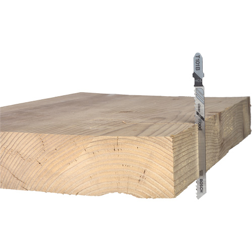Lame de scie alternative pour la coupe du bois, Acier &agrave; haute teneur en carbone, Tige en T, 4" lo, 10 dents par pouce WestPier