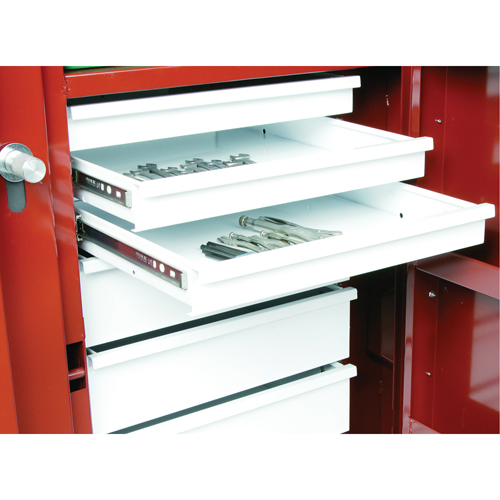&eacute;tabli roulant, 49-7/8" la x 40-5/8" h x 26-7/8" p, Capacit&eacute; de 24,6 pi³ WestPier