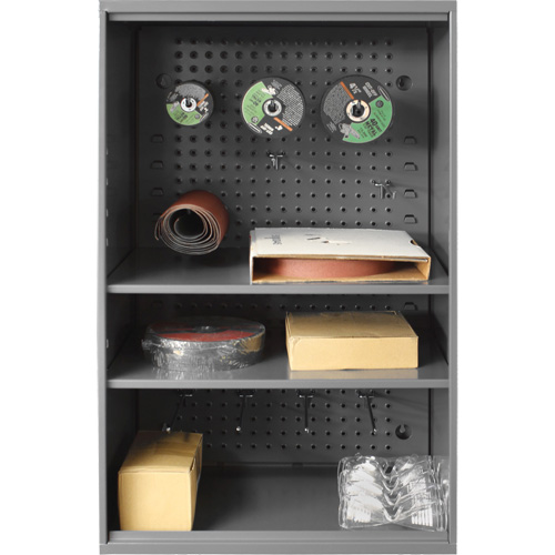 Armoire d'entreposage de produits abrasifs avec panneau perfor&eacute;, Acier, 19-7/8" x 14-1/4" x 32-3/4", Gris WestPier