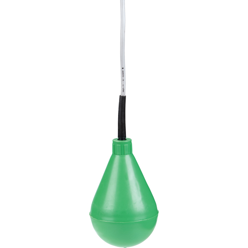 Level Switches WestPier