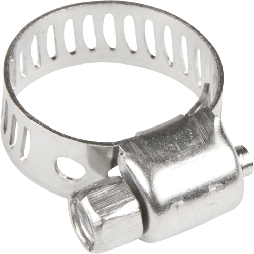 Colliers de serrage pour tuyaux - Collier de serrage & vis en acier inoxydable, Dia. min 1/5", Dia. max 5/8" WestPier