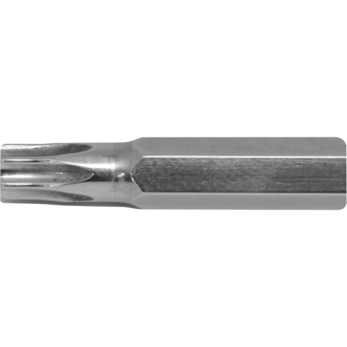Stubby Multi-Bit Screwdriver -Replacement Bit, Torx, 6, 1/4" Drive WestPier