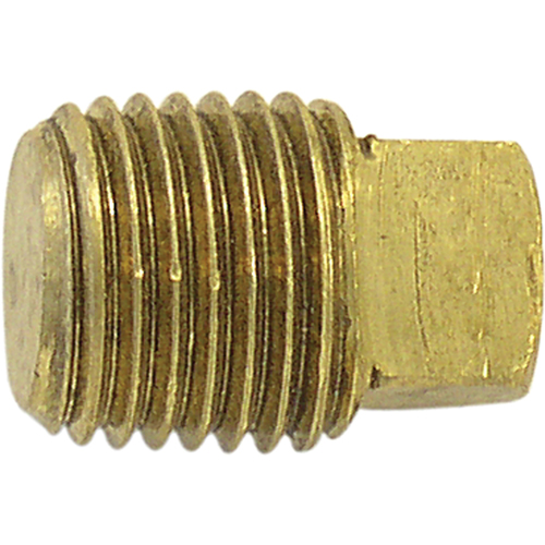 Pipe Plugs (Square Head), 1" Dia., Brass WestPier