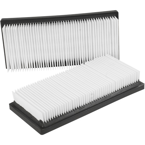 Filtres plats principaux, Cartouche, Pour 12 gal. US WestPier