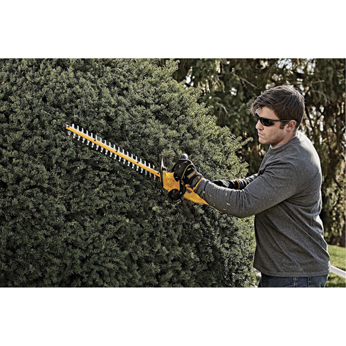 Max Cordless Hedge Trimmer, 22", 20 V, Battery Powered WestPier