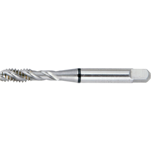 Taraud BT super haute performance &agrave; cannelure spiral&eacute;e DRILLCO, Acier rapide, Filet de 10-32, 2-3/8" l WestPier