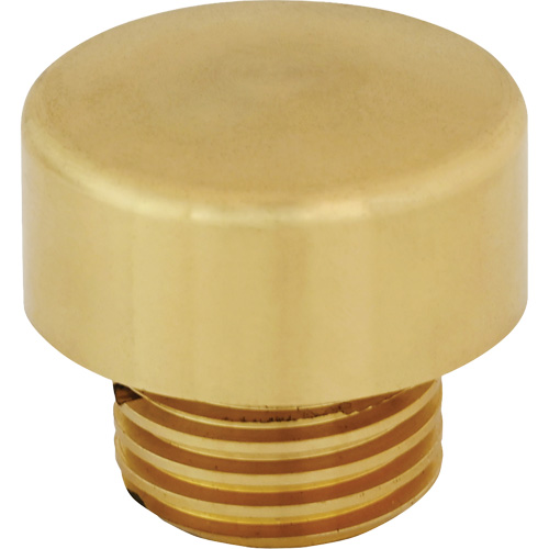 Replacment Hammer Tip for Dead Blow Hammer WestPier