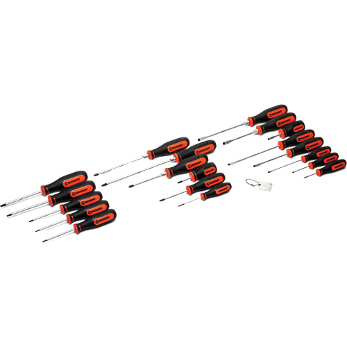 Dual Material Screwdriver Set, 20 Pcs. WestPier