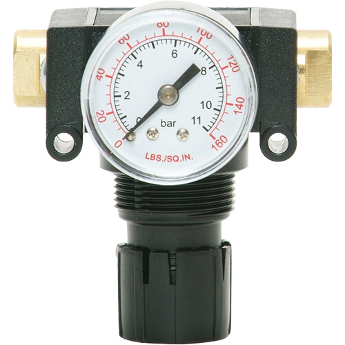 MODULAIR 200 Acetal Piston Regulator, 1/4" NPT, 150 PSI Max. PSI, In Line/Modular WestPier